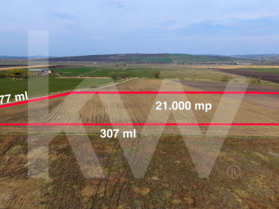 Teren Intravilan 21.439mp S+P+3E+ER deschidere 77m  Calea Surii Mici
