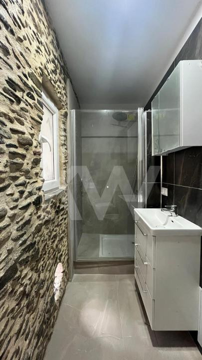 Casa individuala 2 camere Saliste Sibiu