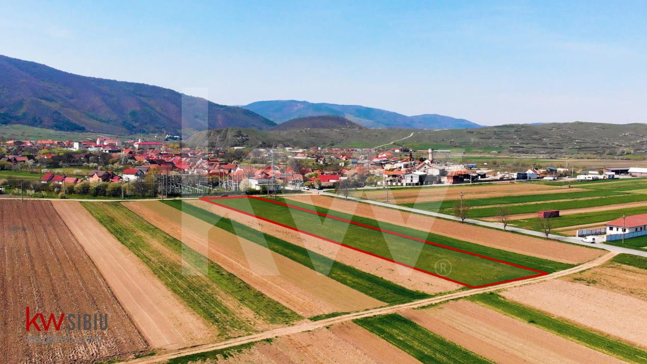 Oportunitate investiție – 6 parcele cu PUZ aprobat și autorizație - Orlat