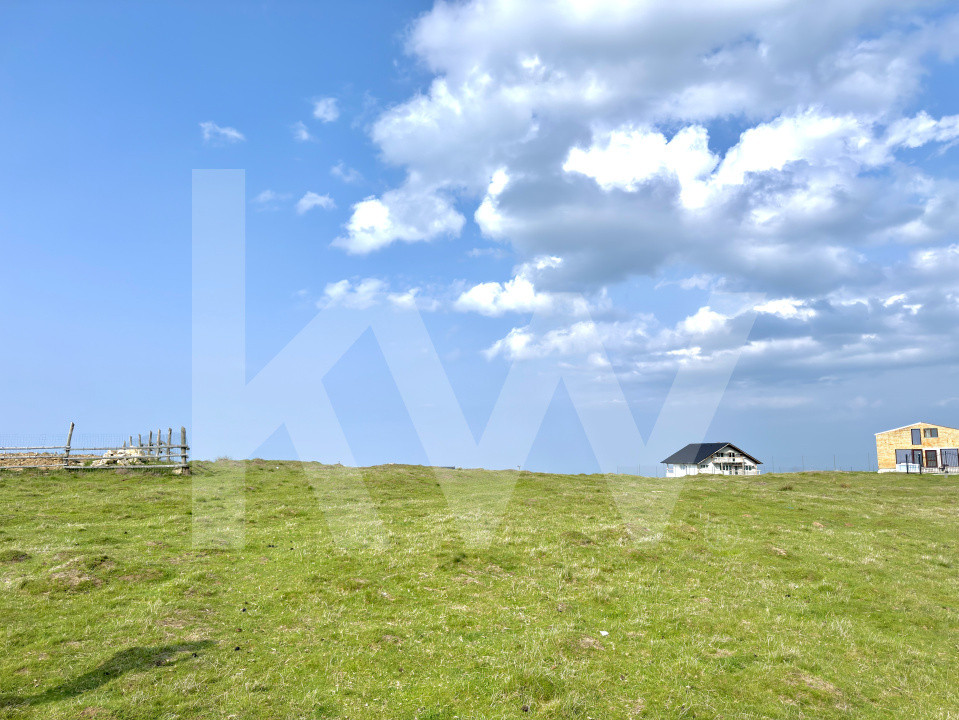    Teren 1003 mp în Păltiniș | Priveliște panoramică către munți