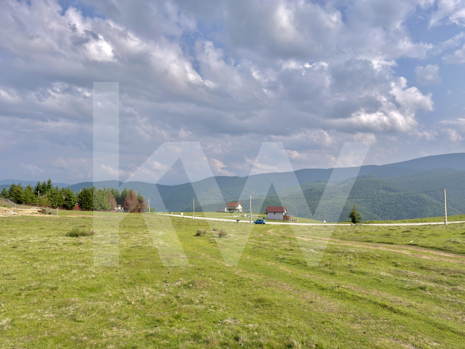     Teren 1003 mp în Păltiniș | Priveliște panoramică către munți