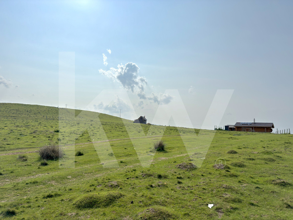     Teren 1003 mp în Păltiniș | Priveliște panoramică către munți