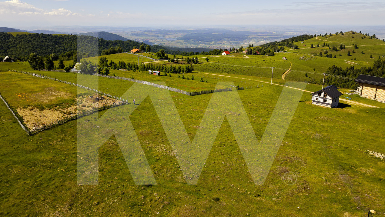     Teren 1003 mp în Păltiniș | Priveliște panoramică către munți