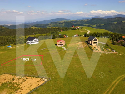     Teren 1003 mp în Păltiniș | Priveliște panoramică către munți