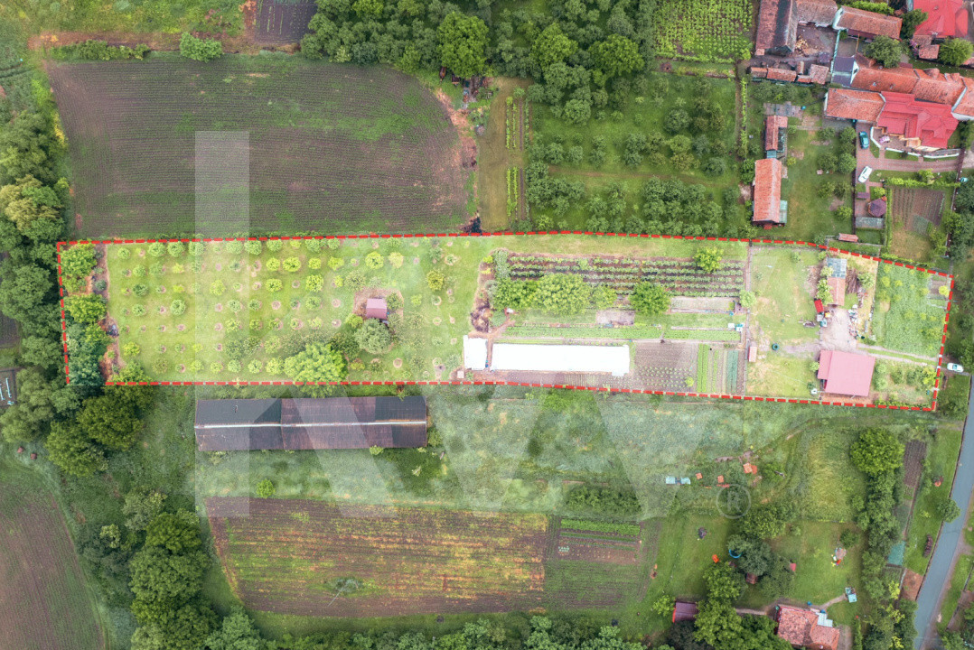 Domeniu de aproape 8.000 mp în inima Transilvaniei | Delenii, Județul Mureș
