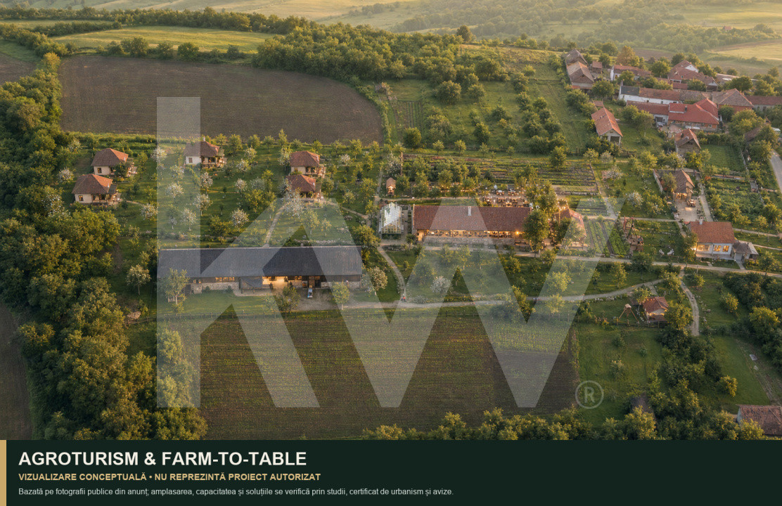 Teren intravilan 7.979 mp | ideal glamping, pensiune sau investiție | Mureș