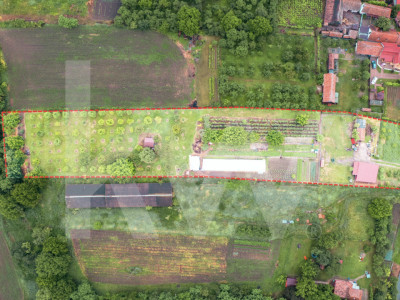 Domeniu de aproape 8.000 mp în inima Transilvaniei | Delenii, Județul Mureș