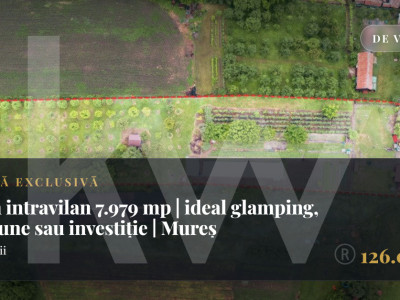 Teren intravilan 7.979 mp | ideal glamping, pensiune sau investiție | Mureș
