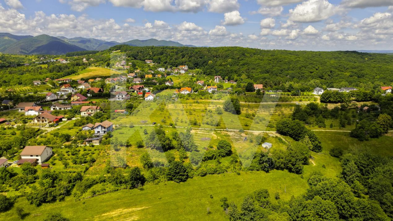 Teren Intravilan 977 mp de Vânzare în Cisnădioara – Locație de Poveste