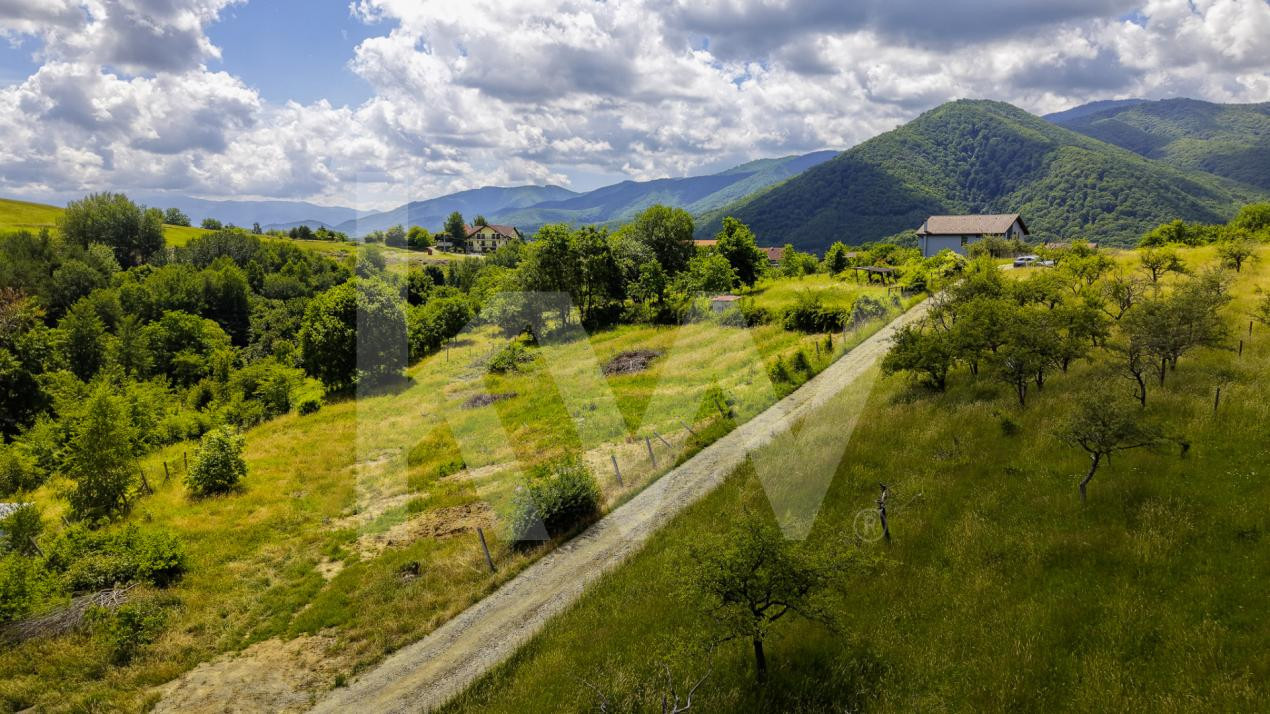 Teren Intravilan 977 mp de Vânzare în Cisnădioara – Locație de Poveste