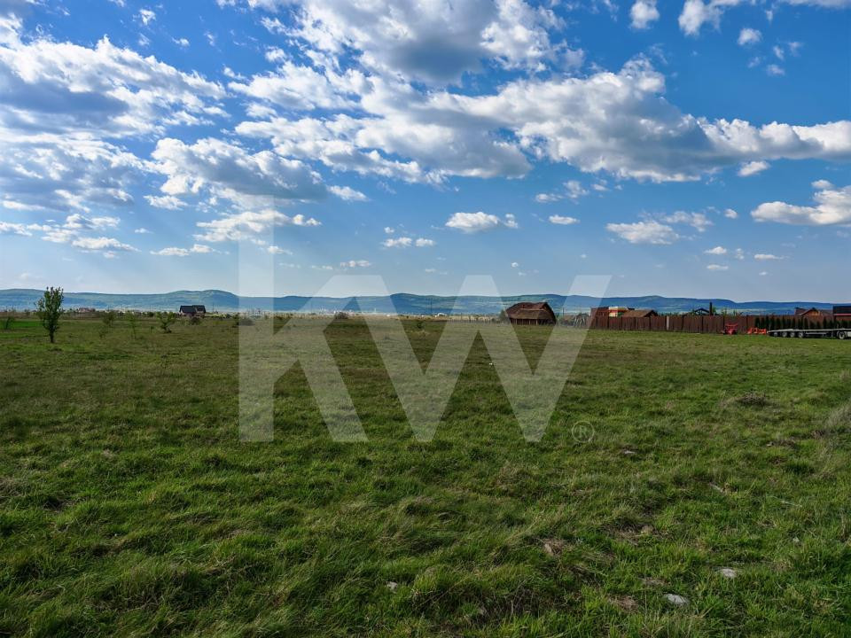 Teren 12.600 mp, front 56m la stradă asfaltată, vedere la munte 