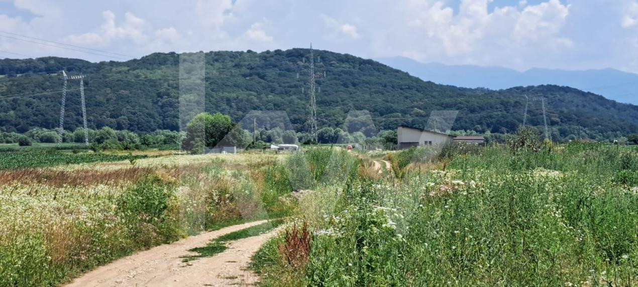 Teren de Vanzare zona Selimbar-Bungard 