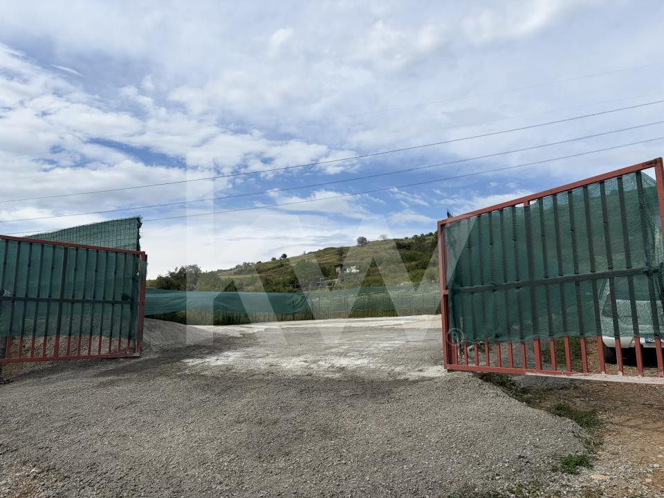 Teren betonat 382 mp cu groapă de vizitare – de închiriat 