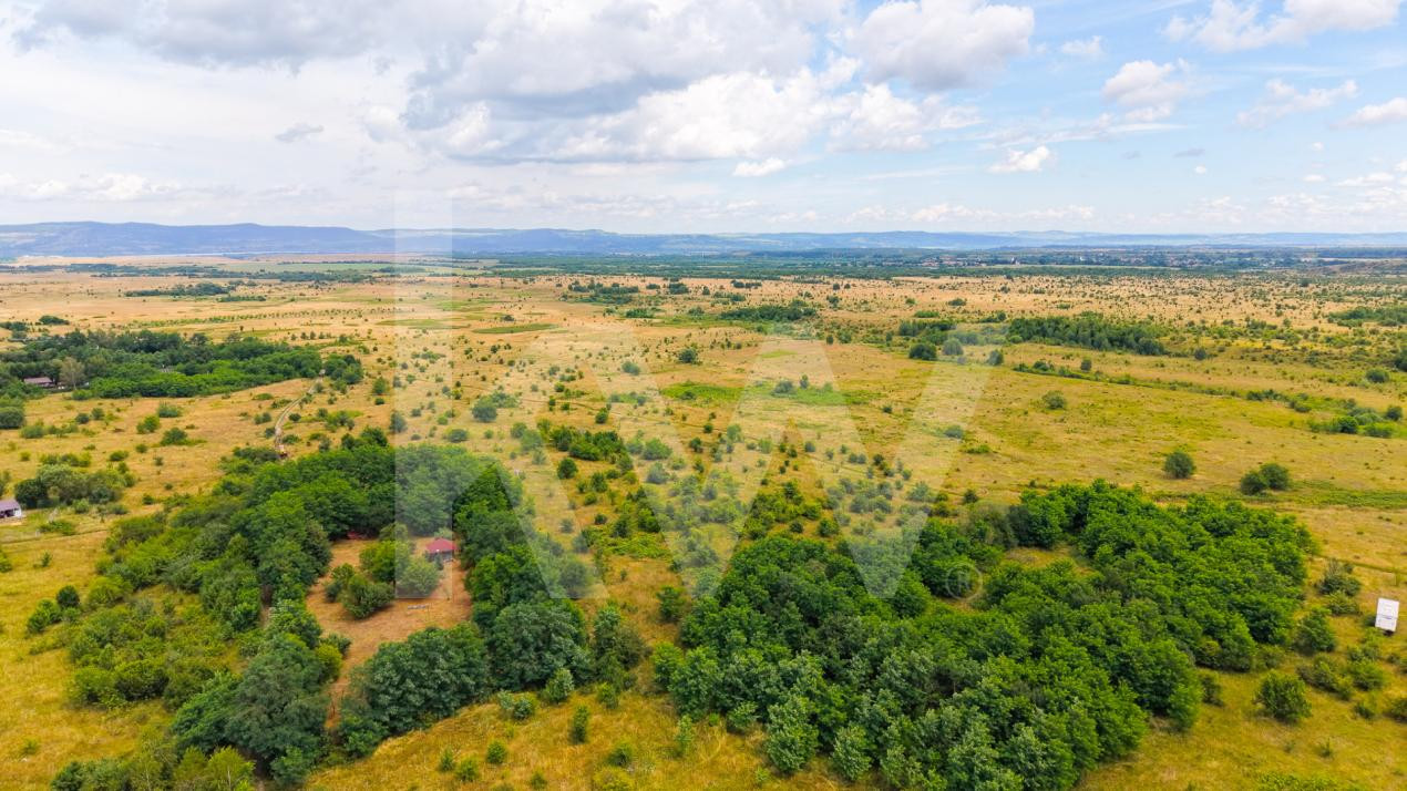 Teren extravilan de vânzare - Valea Avrigului, Sibiu