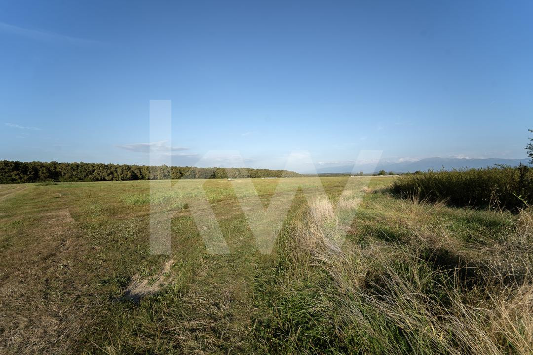 Teren 600 mp Aerodrom Magura | Oportunitate investiție 20.400€