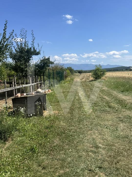 Teren 720 mp Seviș | 23 m front | Oportunitate investiție 24.480€