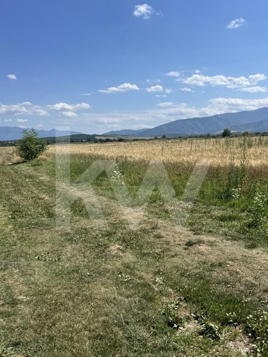 Teren 720 mp Seviș | 23 m front | Oportunitate investiție 24.480€