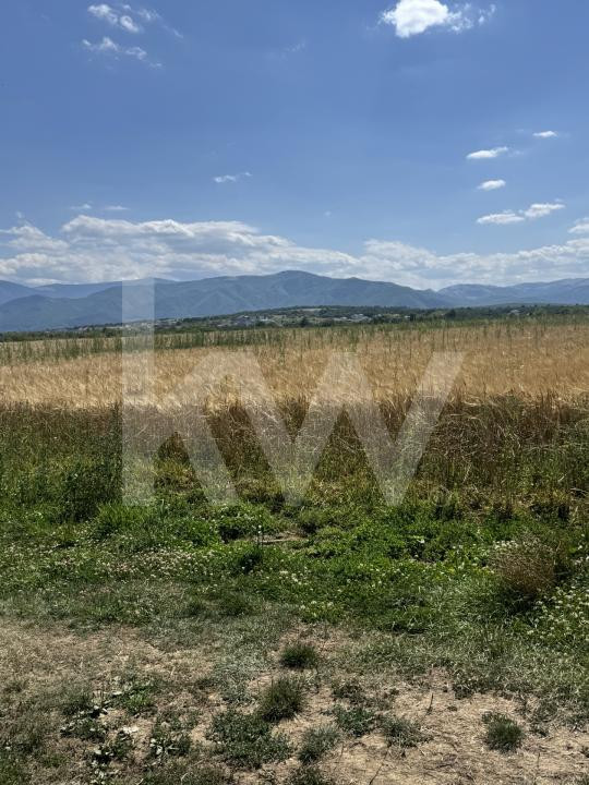 Teren 720 mp Seviș | 23 m front | Oportunitate investiție 24.480€