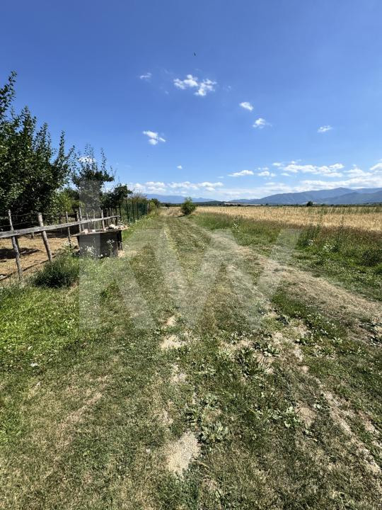 Teren 720 mp Seviș | 23 m front | Oportunitate investiție 24.480€