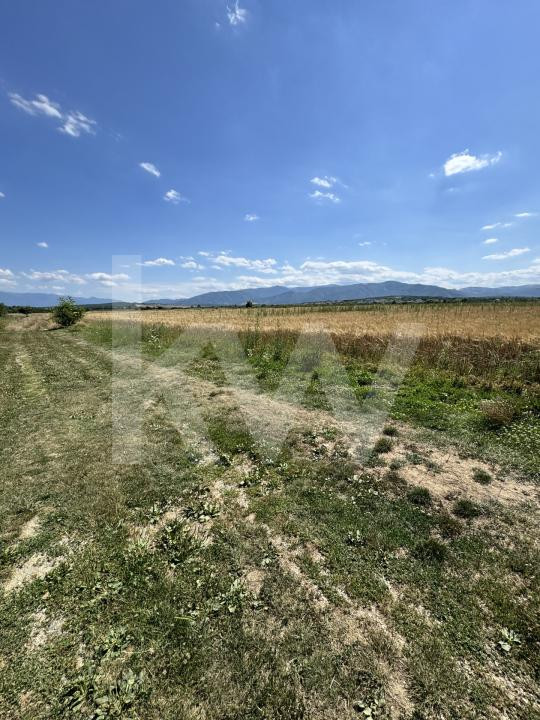 Teren 720 mp Seviș | 23 m front | Oportunitate investiție 24.480€