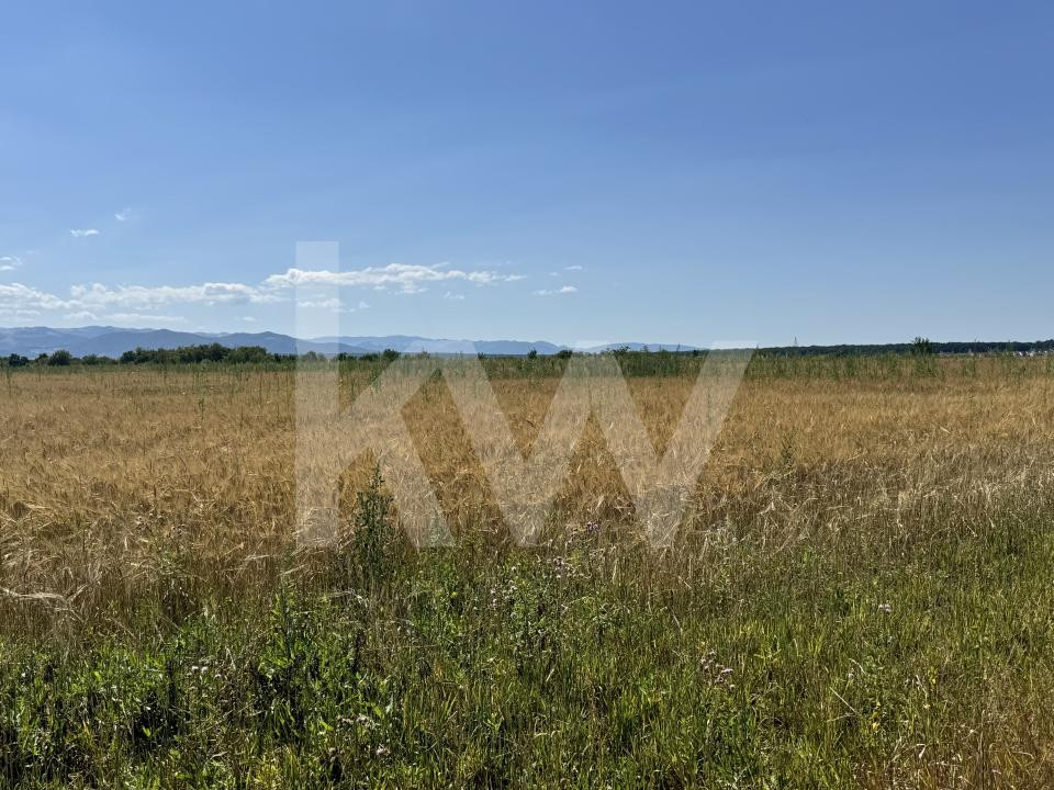 Teren 720 mp Seviș | 23 m front | Oportunitate investiție 24.480€