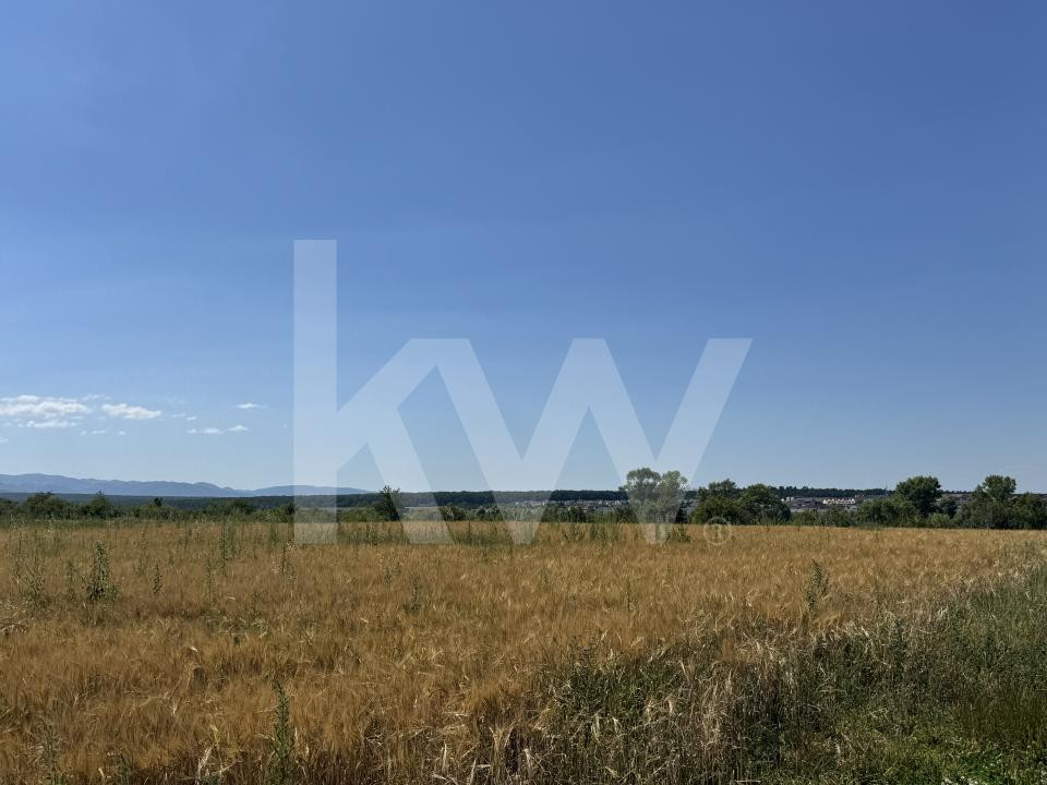Teren 720 mp Seviș | 23 m front | Oportunitate investiție 24.480€