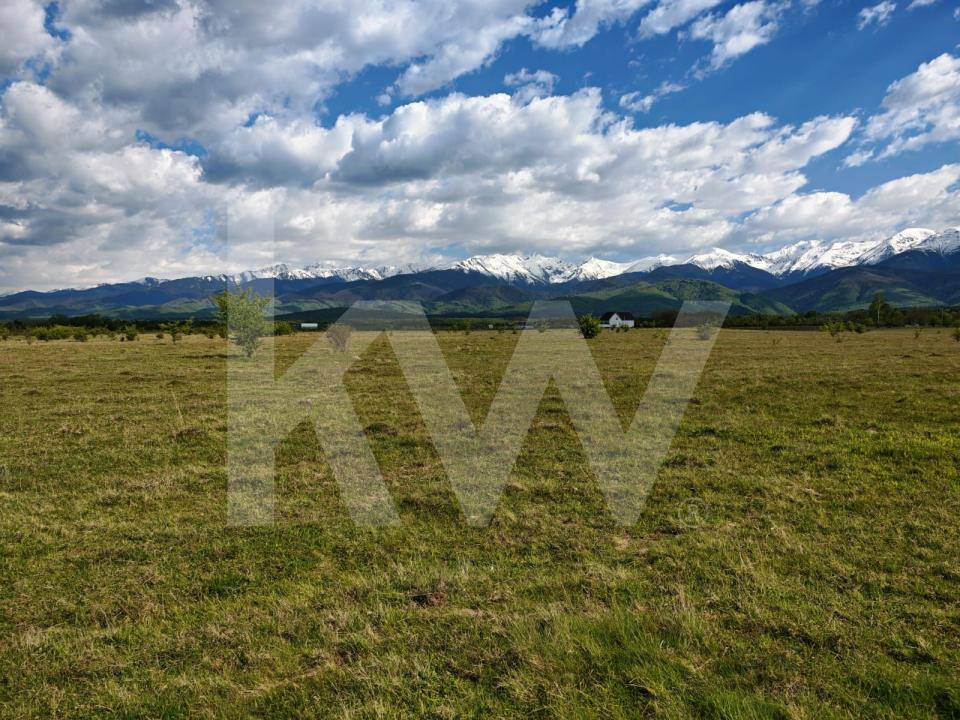 Teren 21.573mp, front 516m, view munte. Utilități în zonă. Hai la vizionare!