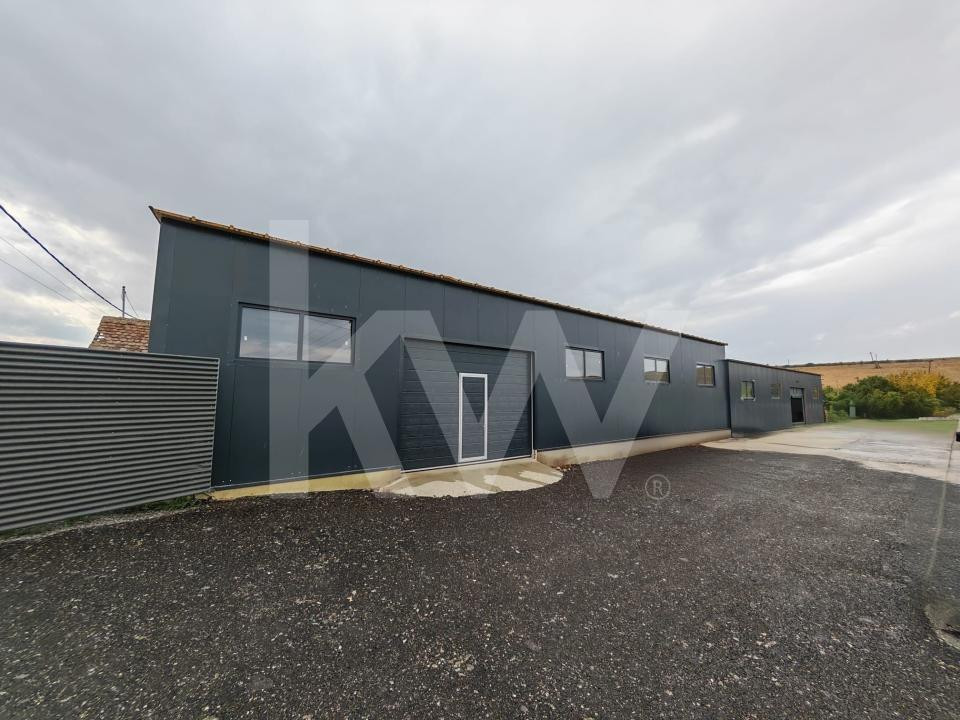 Hala industriala 176mp, ideal depozitare-productie usoara, acces rapid catre A1