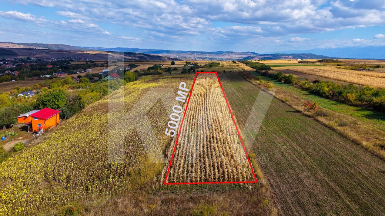 Teren extravilan  arabil 5.000 mp, acces din două drumuri – Daia