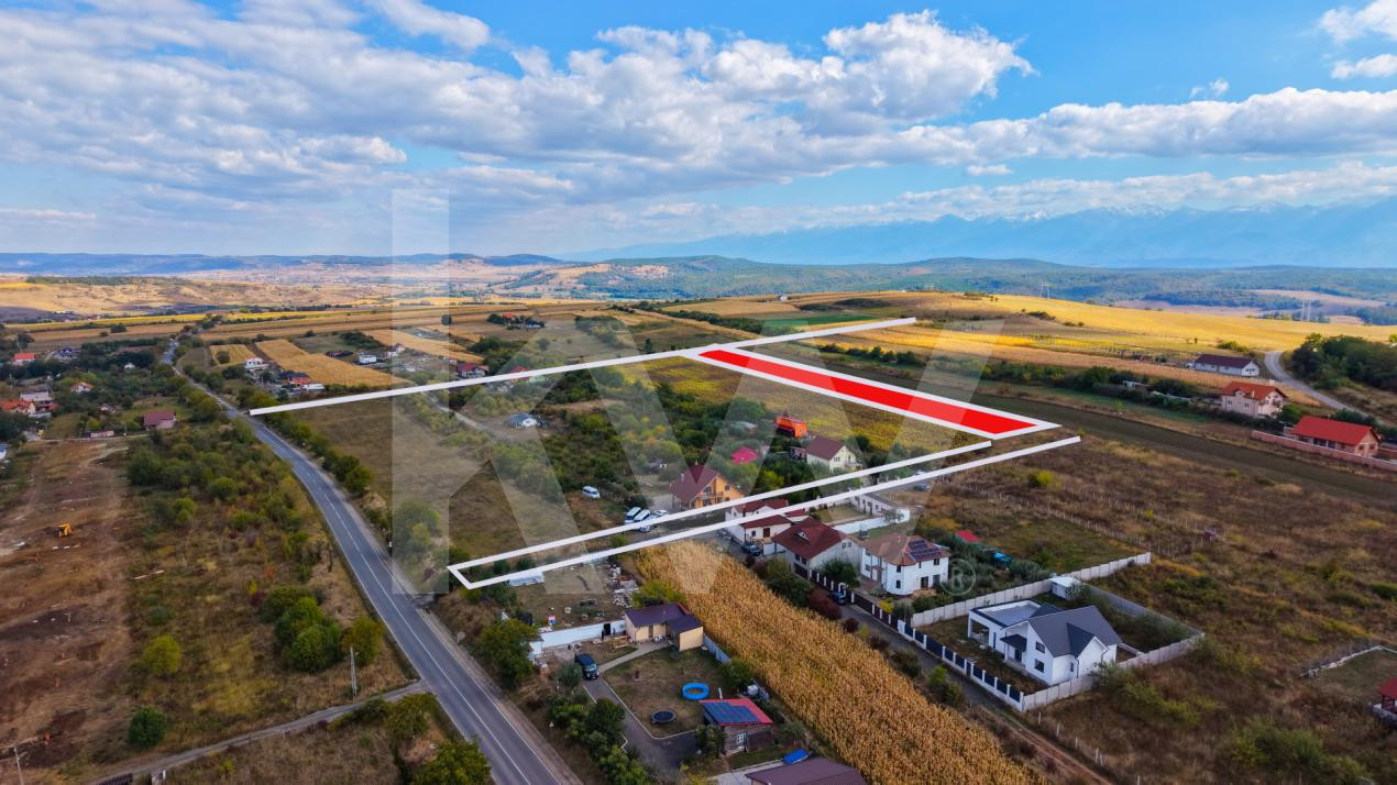 Teren extravilan  arabil 5.000 mp, acces din două drumuri – Daia