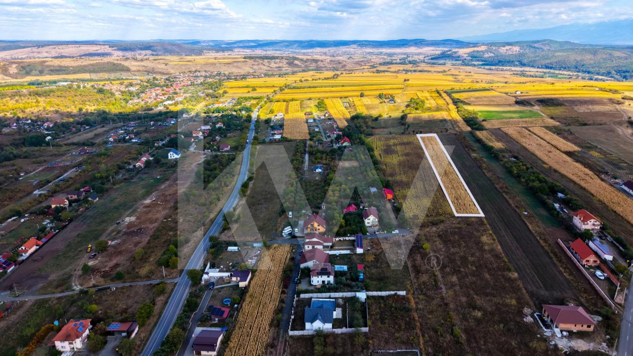 Teren extravilan  arabil 5.000 mp, acces din două drumuri – Daia