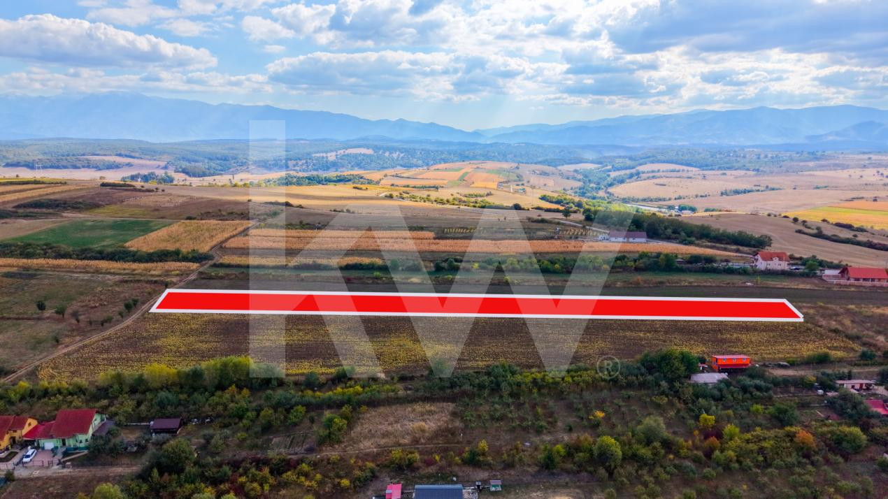 Teren extravilan  arabil 5.000 mp, acces din două drumuri – Daia