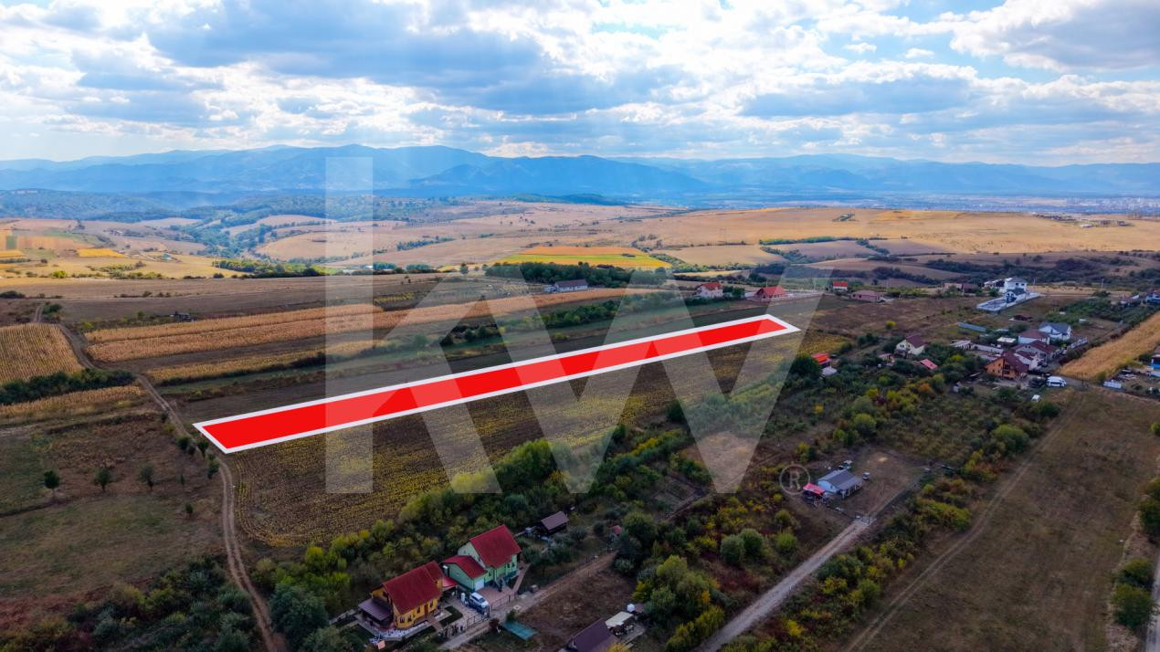 Teren extravilan  arabil 5.000 mp, acces din două drumuri – Daia