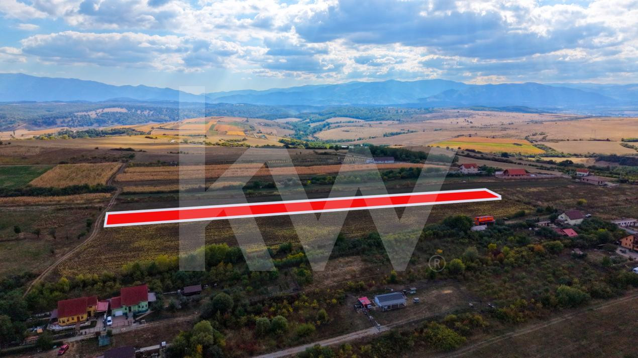 Teren extravilan  arabil 5.000 mp, acces din două drumuri – Daia