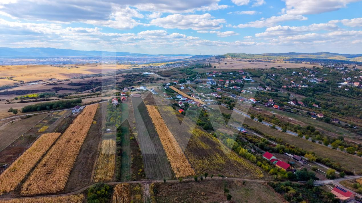 Teren extravilan  arabil 5.000 mp, acces din două drumuri – Daia