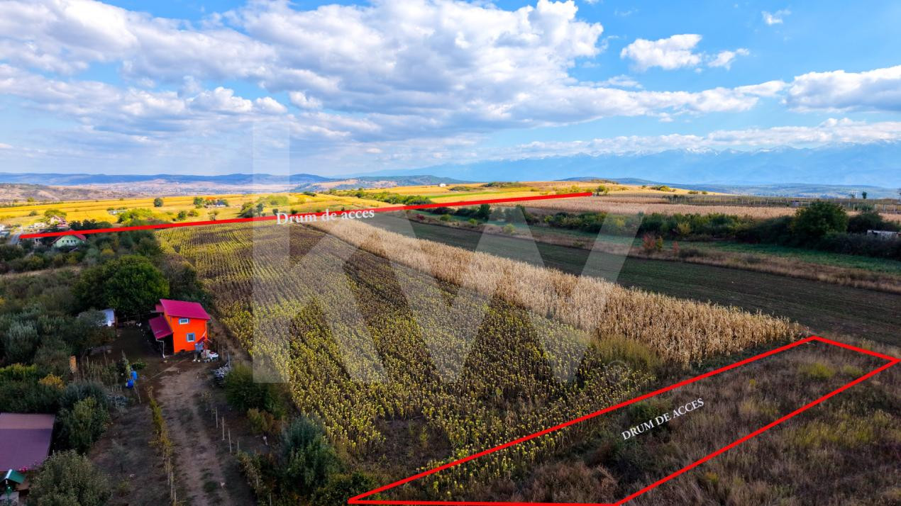 Teren extravilan  arabil 5.000 mp, acces din două drumuri – Daia