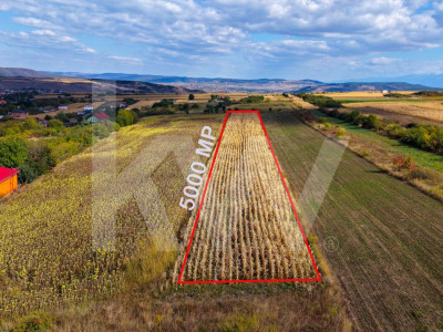 Teren extravilan  arabil 5.000 mp, acces din două drumuri – Daia