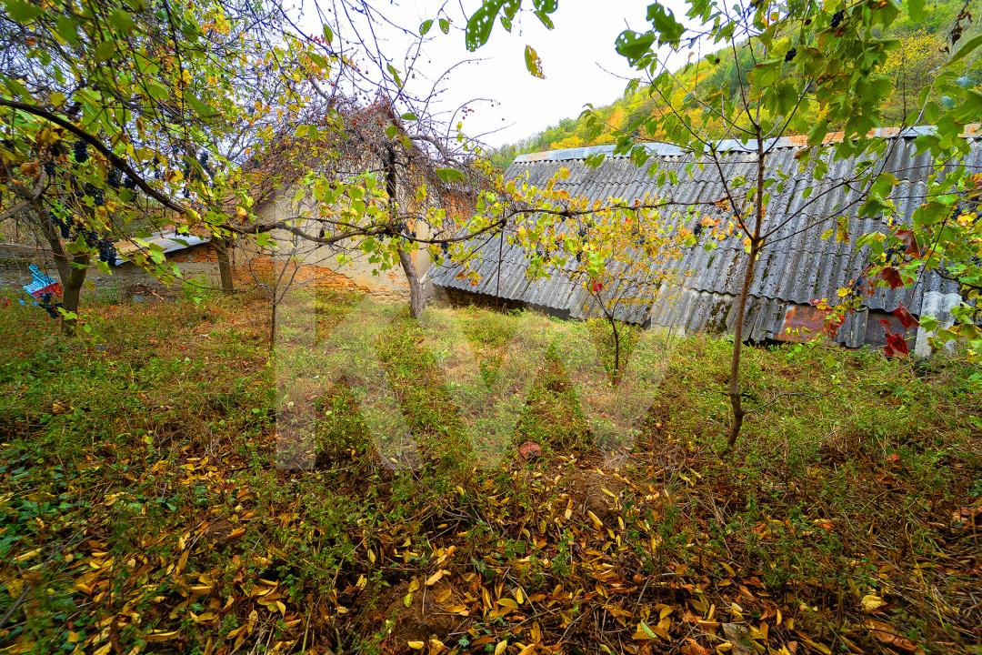 Casă de renovat în Tălmăcel – investiție
