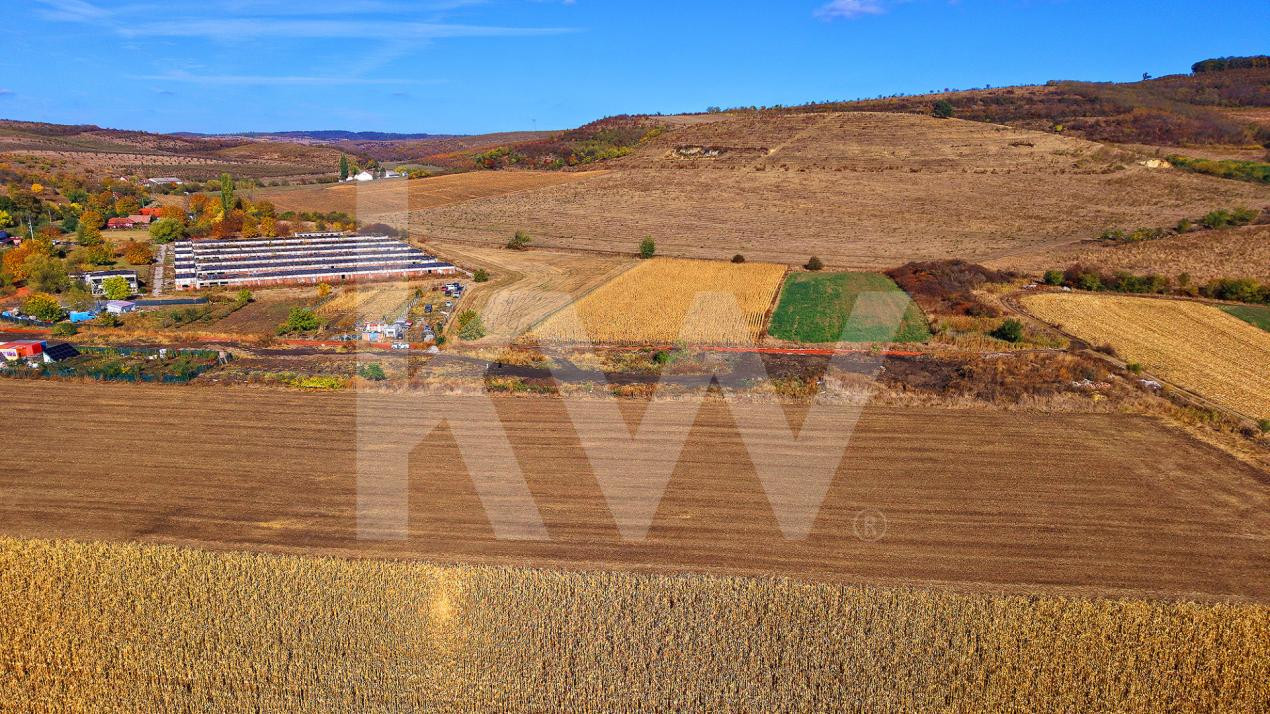 Teren intravilan 2.000 mp, PUZ aprobat  Strada Viilor, Sibiu  Aproape de DN14