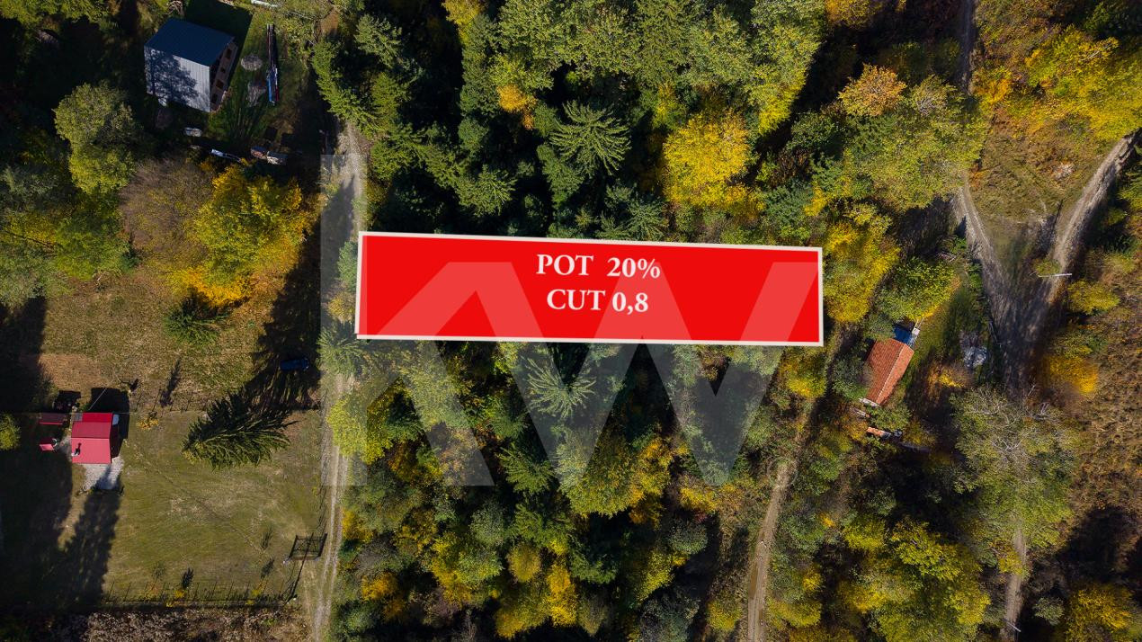 Teren intravilan Valea Avrigului 