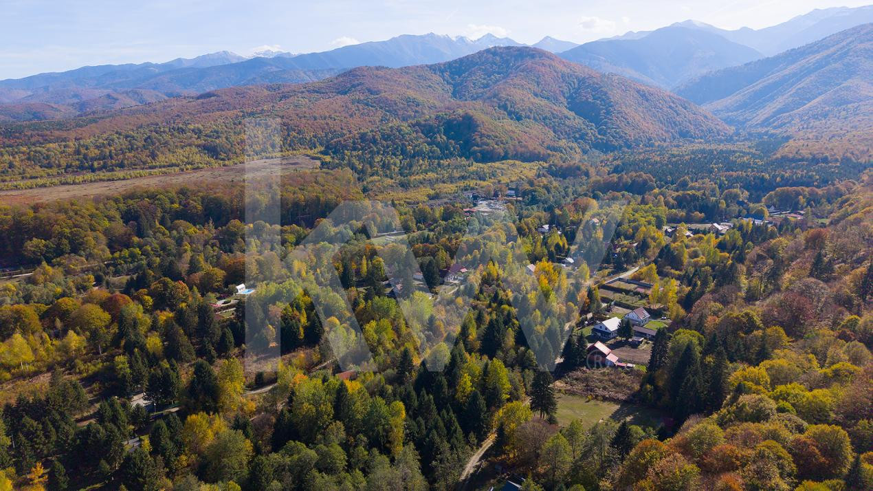 Teren intravilan Valea Avrigului 