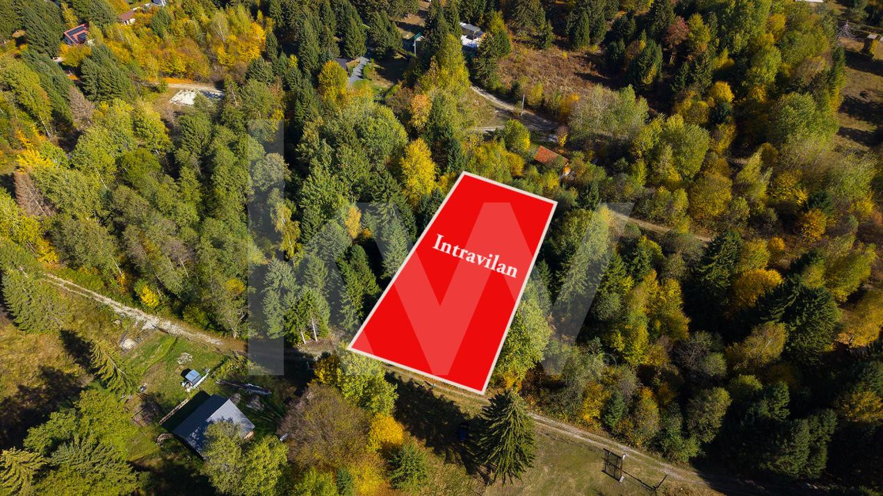 Teren intravilan Valea Avrigului 