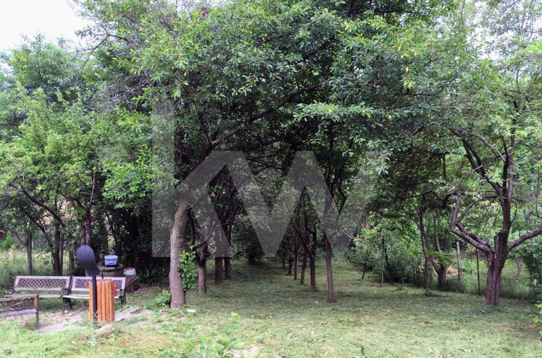 Cabana  – Sibiu, zona Tropinii Noi