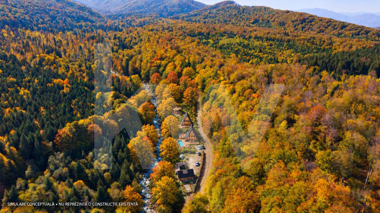 Teren 2.000 mp în Valea Avrigului Pădure, apă curgătoare și liniște