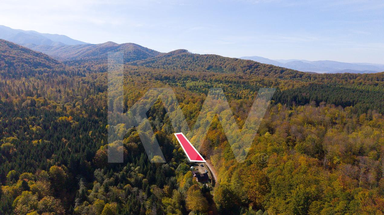 Teren 2.000 mp în Valea Avrigului Pădure, apă curgătoare și liniște