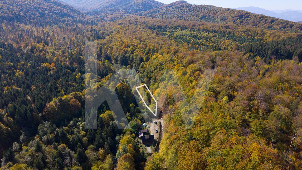 Teren 2.000 mp în Valea Avrigului Pădure, apă curgătoare și liniște