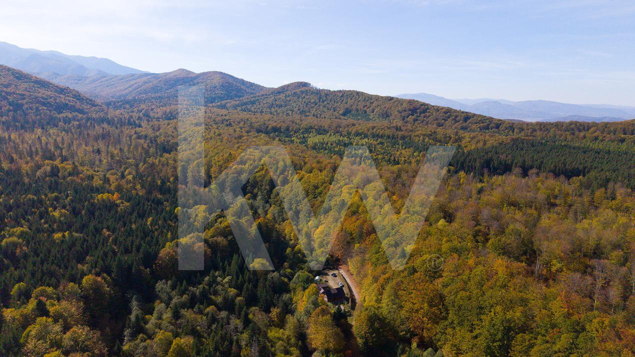 Teren 2.000 mp în Valea Avrigului Pădure, apă curgătoare și liniște