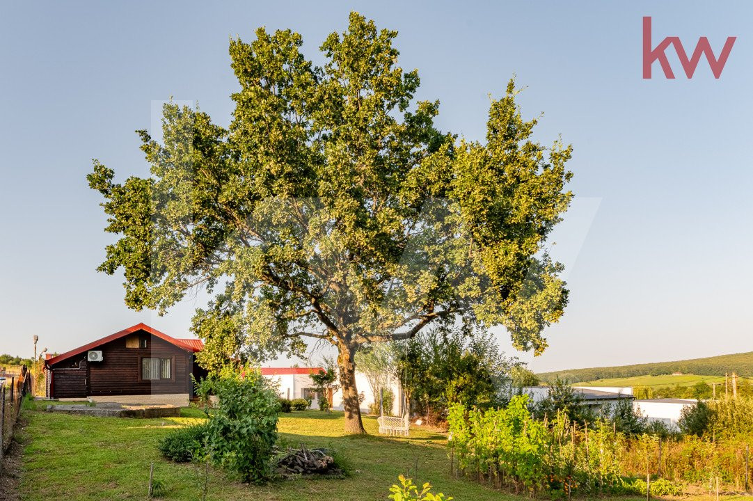 Cabană / casă de vacanță superba de vânzare în Tocile - 1200 MP teren