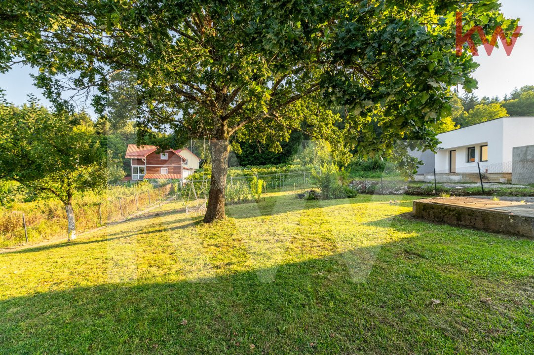 Cabană / casă de vacanță superba de vânzare în Tocile - 1200 MP teren