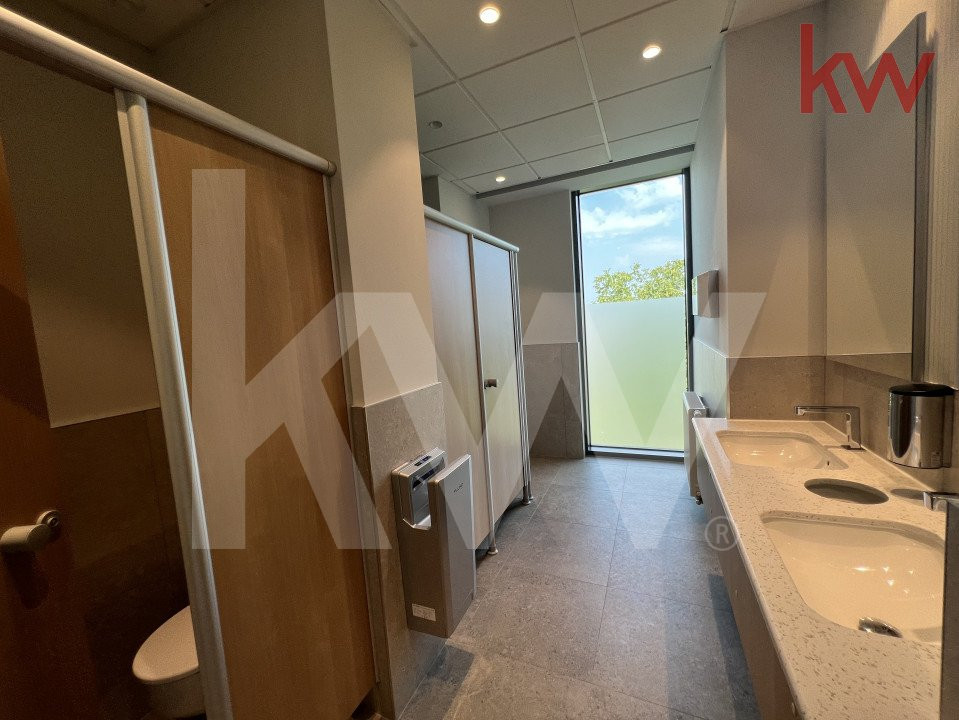 Birouri Premium | Design Futurist | Eficiență | Spații Verzi 
